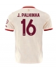 Bayern Munich Joao Palhinha #16 Tredje Tröja 2024-25 Kortärmad