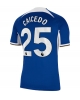 Chelsea Moises Caicedo #25 Hemmatröja 2023-24 Kortärmad