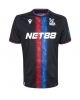 Crystal Palace Adam Wharton #20 Tredje Tröja 2024-25 Kortärmad